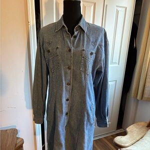 LizWear vintage Denim Button-Up Dress side pockets